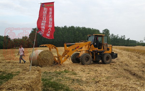 关于政协十三届全国委员会第一次会议第0295号（农业水利类057号）提案答复的函