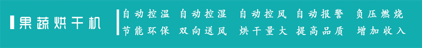 5HF-15B生物质果蔬烘干机海帝升农机