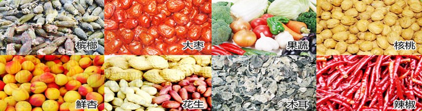 5HF-15B生物质果蔬烘干机海帝升农机