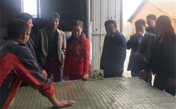 沙洋县人大领导调研全县秸秆综合利用工作
