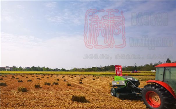 沙洋县人大领导调研全县秸秆综合利用工作