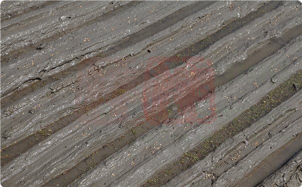 上海世达尔水稻穴直播机播种效果