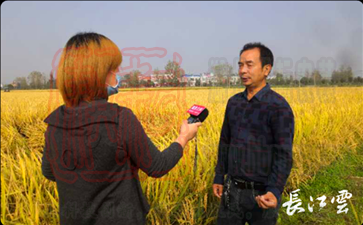 天门市瑞丰农产品产销专业合作社理事长鲁文武介绍农民土地季节性流转